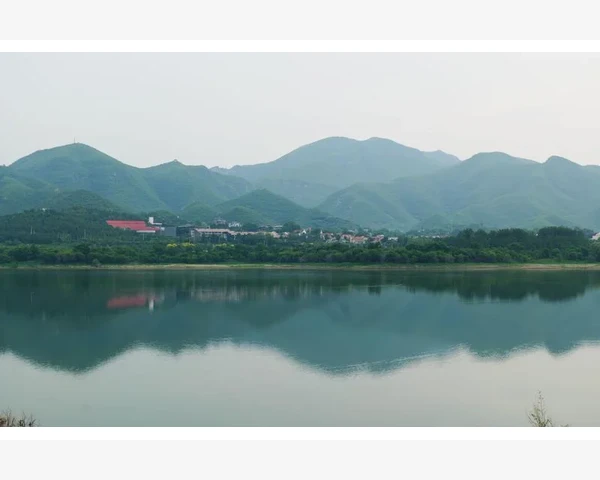 四物汤调理孩子脾胃虚弱：温和滋补小妙招