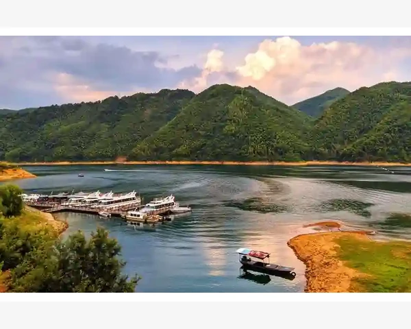 B2B卖药要在合规中抓住新增长点