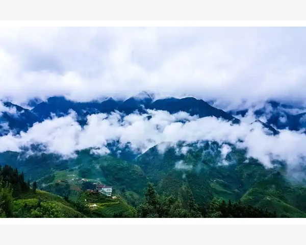 健脾胃滋阴茶的推荐与功效分析